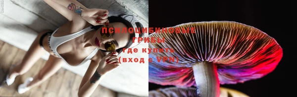 метадон Вяземский