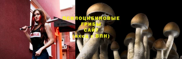 метадон Вяземский