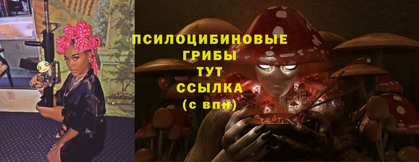 метадон Вяземский